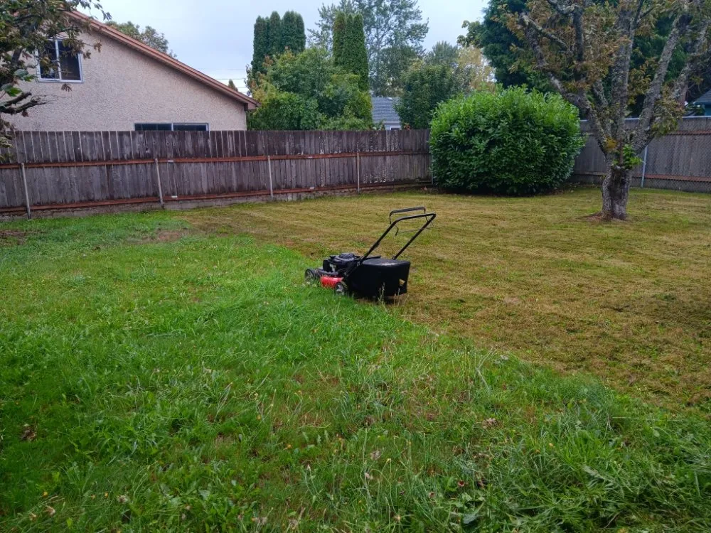 Expert residential landscaping for residential properties in Seattle, WA by Jefes Landscaping