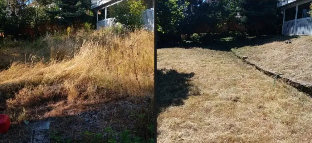 Custom landscape design experts serving Seattle, WA - Jefes Landscaping