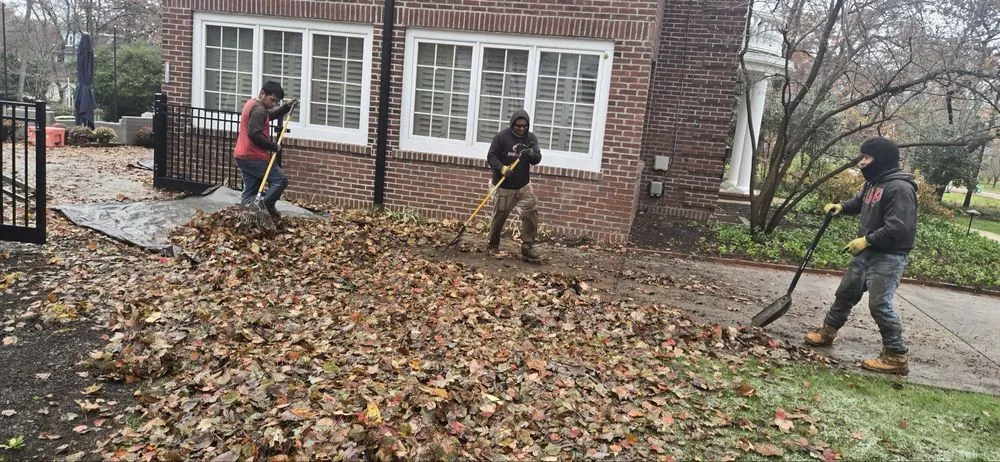 Trusted yard cleanup service near you across Ballwin, MO - Jeff Baker & Sons