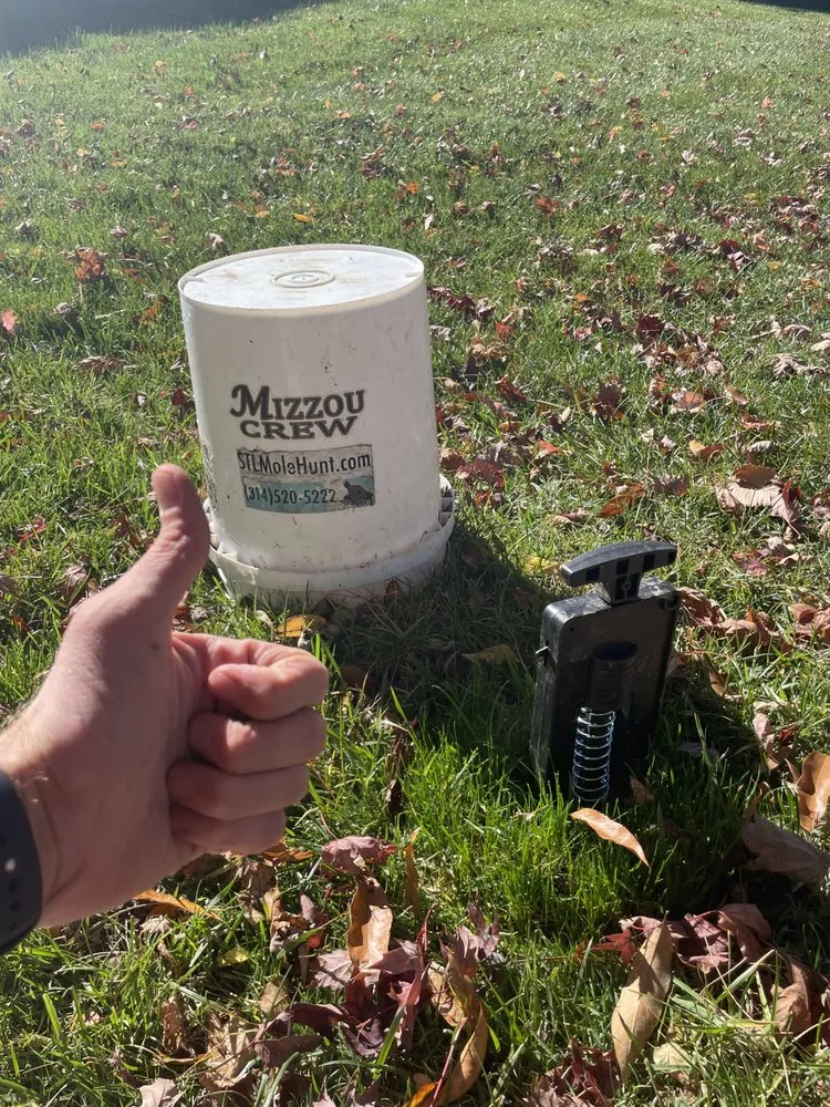 Local yard cleanup service experts serving Ballwin, MO - Jeff Baker & Sons