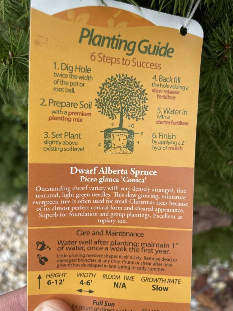 Trusted garden landscaping for beautiful yards in Ballwin, MO by Jeff Baker & Sons