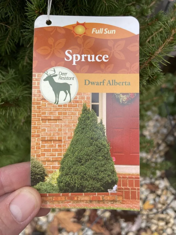 Professional residential landscaping in Ballwin, MO - Jeff Baker & Sons