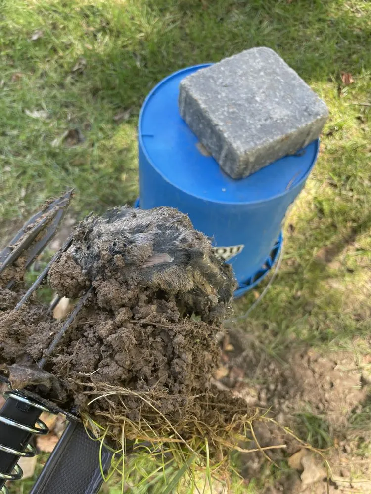 Professional outdoor landscaping experts serving Ballwin, MO - Jeff Baker & Sons