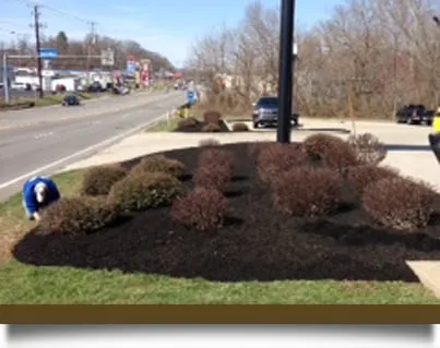 Top-rated yard cleanup service in Huntington, WV - Jeff Burton Lawncare and Landscaping