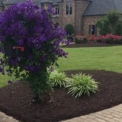 Professional outdoor landscaping in Jackson, TN by Jeff Fuller Designs