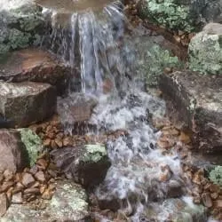 Custom landscaping services in Jackson, TN by Jeff Fuller Designs