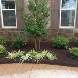 Professional landscaping services for residential properties in Jackson, TN by Jeff Fuller Designs