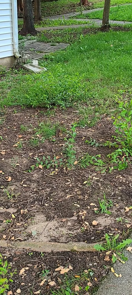 Expert lawn mowing service for residential properties in Cos Cob, CT by Jeff Greco Landscaping