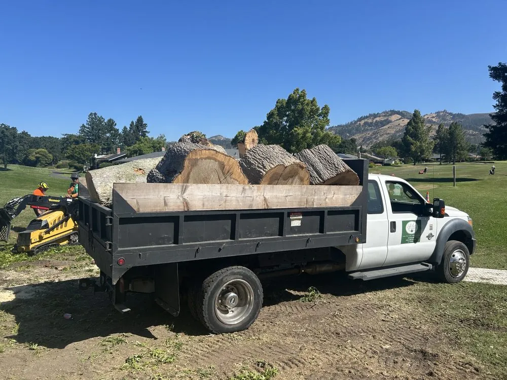 Local landscaping services in Santa Rosa, CA by Jeff Lester Arborist