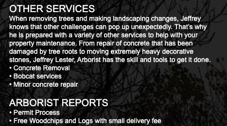 Reliable landscape design in Santa Rosa, CA - Jeff Lester Arborist