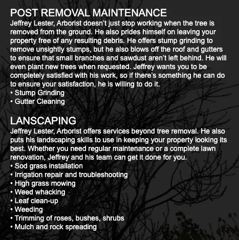 Professional outdoor landscaping for residential properties across Santa Rosa, CA - Jeff Lester Arborist