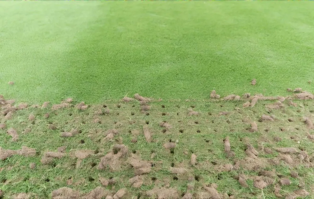 Top-rated landscape installation for homes in Fountain Inn, SC by Jeff the Lawn Guy