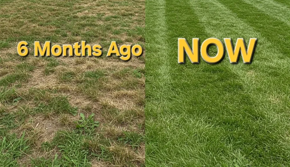 Professional landscape design in Fountain Inn, SC - Jeff the Lawn Guy