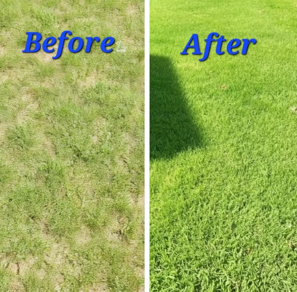 Local landscaping services in Fountain Inn, SC by Jeff the Lawn Guy