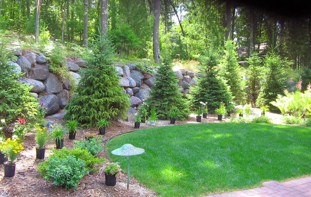 Reliable yard maintenance with custom design across Fountain Inn, SC - Jeff the Lawn Guy