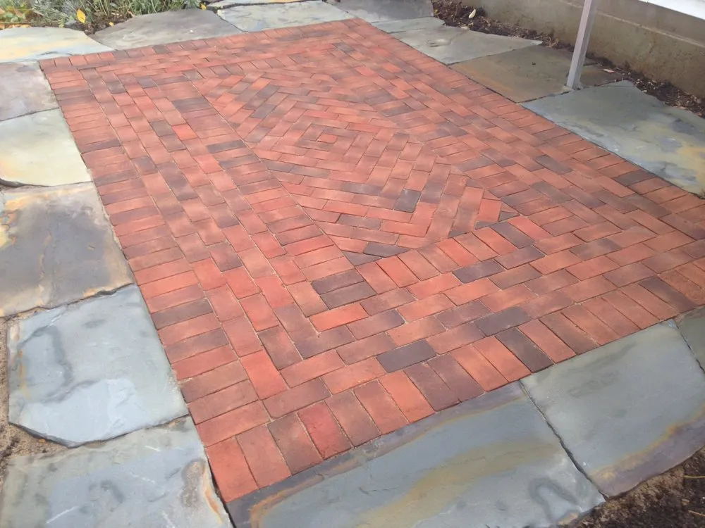 Expert lawn care service in Saint Paul, MN by Jeff Timm