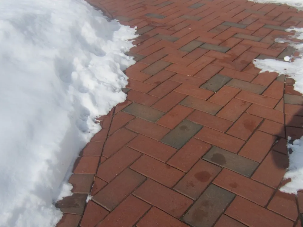 Custom yard maintenance experts serving Saint Paul, MN - Jeff Timm