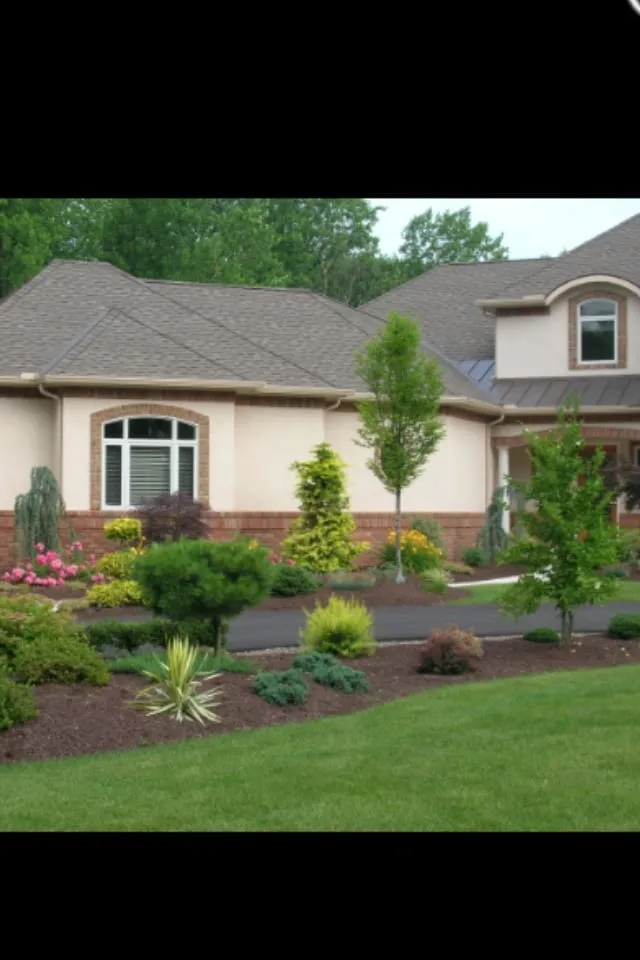 Local yard cleanup service in Gainesville, FL - Jeff Williams Lawn Service