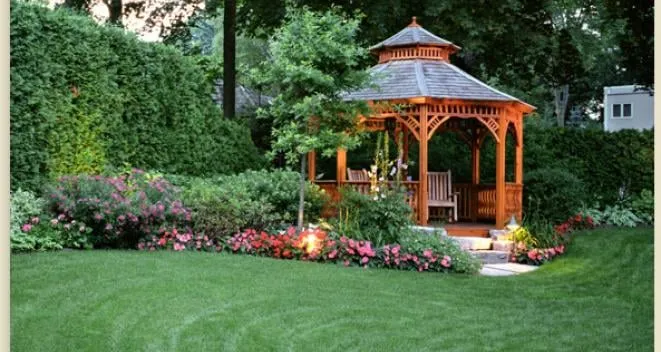 Professional yard cleanup service experts serving Ocoee, FL - Jeffenson's