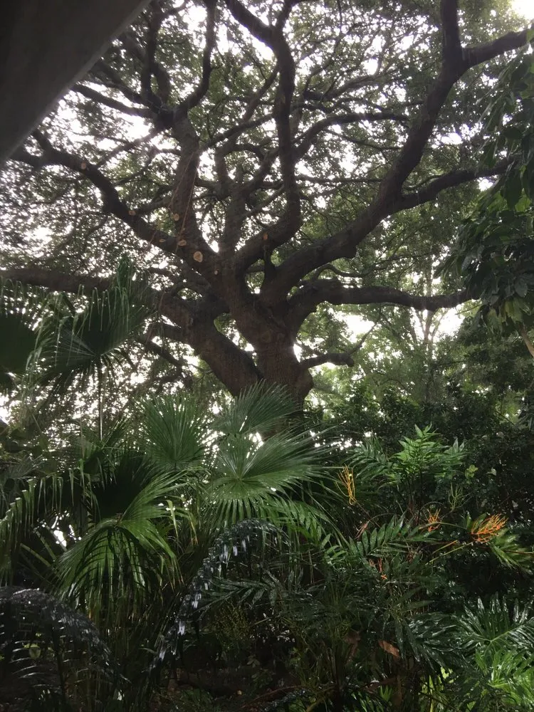 Trusted residential landscaping in Ocoee, FL by Jeffenson's