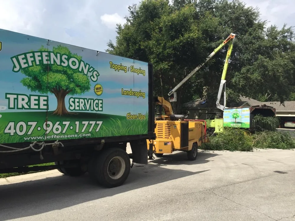 Top-rated outdoor landscaping in Ocoee, FL by Jeffenson's