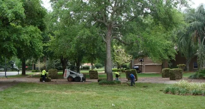 Custom garden landscaping in Ocoee, FL by Jeffenson's