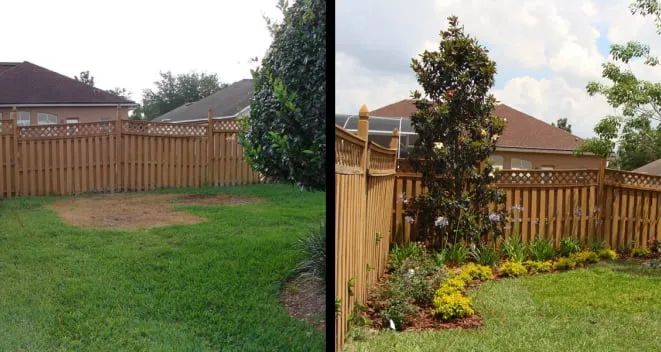 Professional yard maintenance in Ocoee, FL - Jeffenson's