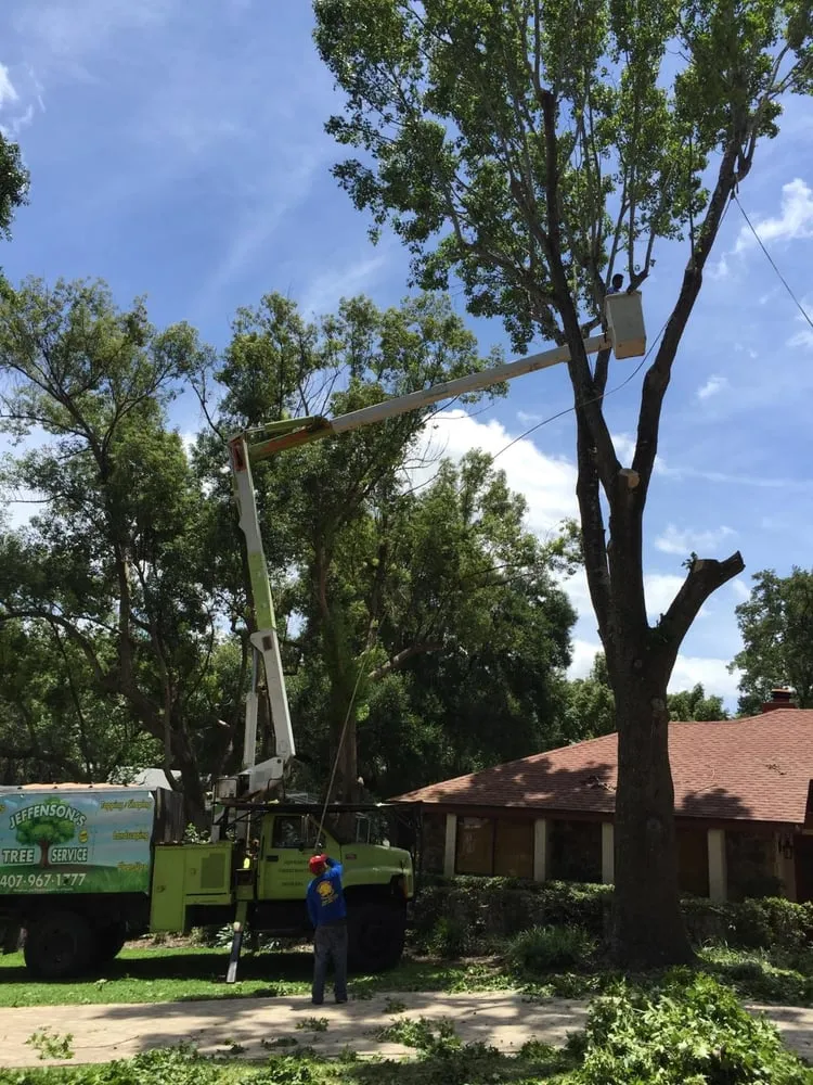 Reliable landscape design for homes across Ocoee, FL - Jeffenson's