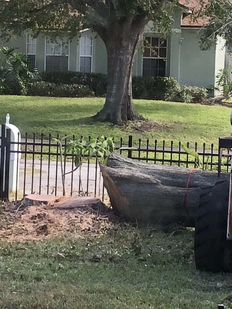 Expert yard maintenance experts serving Ocoee, FL - Jeffenson's