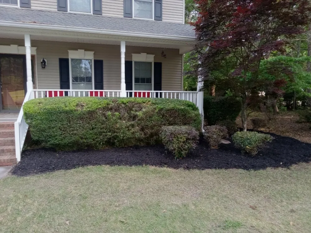 Expert outdoor landscaping in Williston, SC by Jeffers Grass Cutting Service
