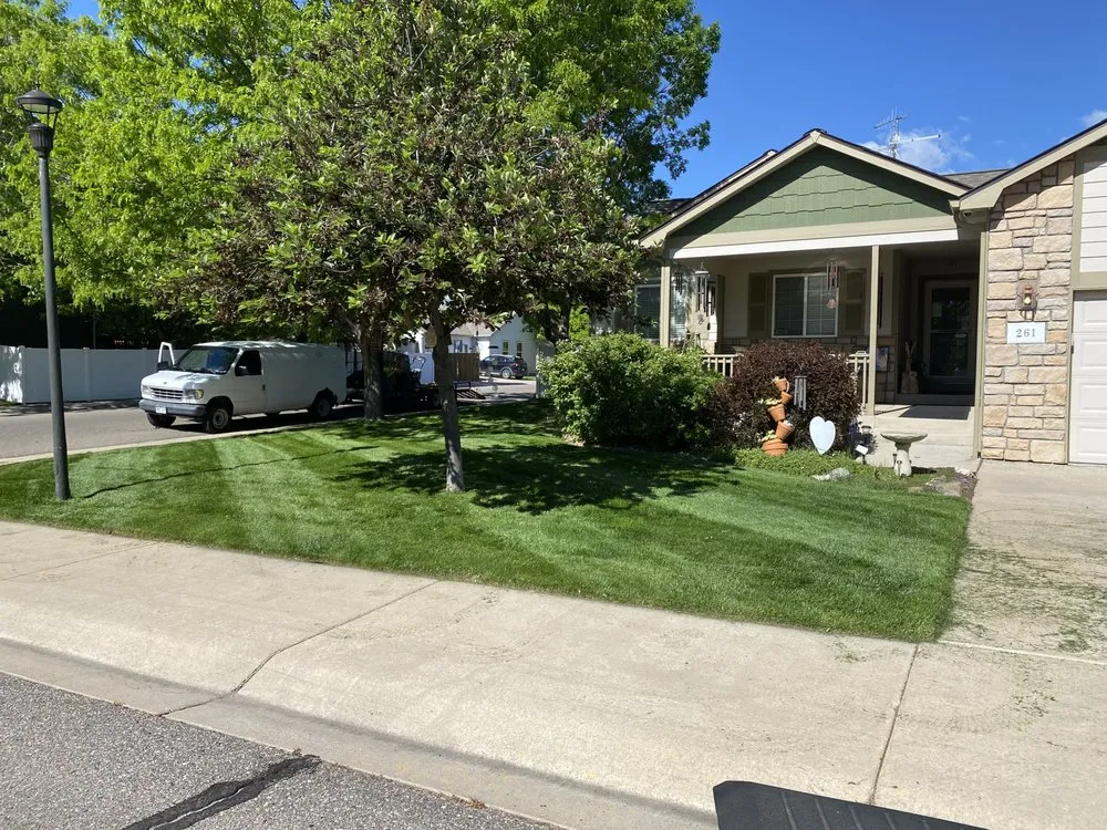 Local landscape design experts serving Masonville, CO - Jeffers Landscape Solutions