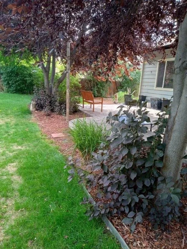 Top-rated residential landscaping in Masonville, CO - Jeffers Landscape Solutions