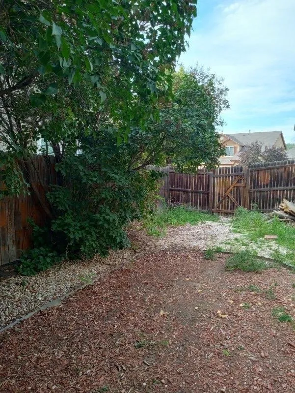 Affordable residential landscaping experts serving Masonville, CO - Jeffers Landscape Solutions