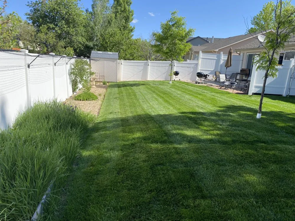 Trusted yard maintenance for year-round maintenance across Masonville, CO - Jeffers Landscape Solutions