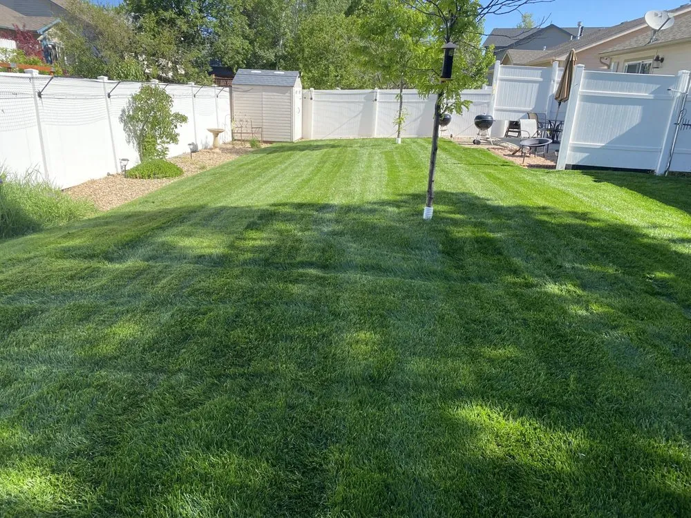 Local yard maintenance in Masonville, CO - Jeffers Landscape Solutions