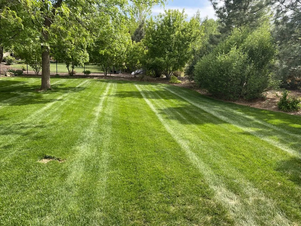 Expert residential landscaping in Masonville, CO - Jeffers Landscape Solutions