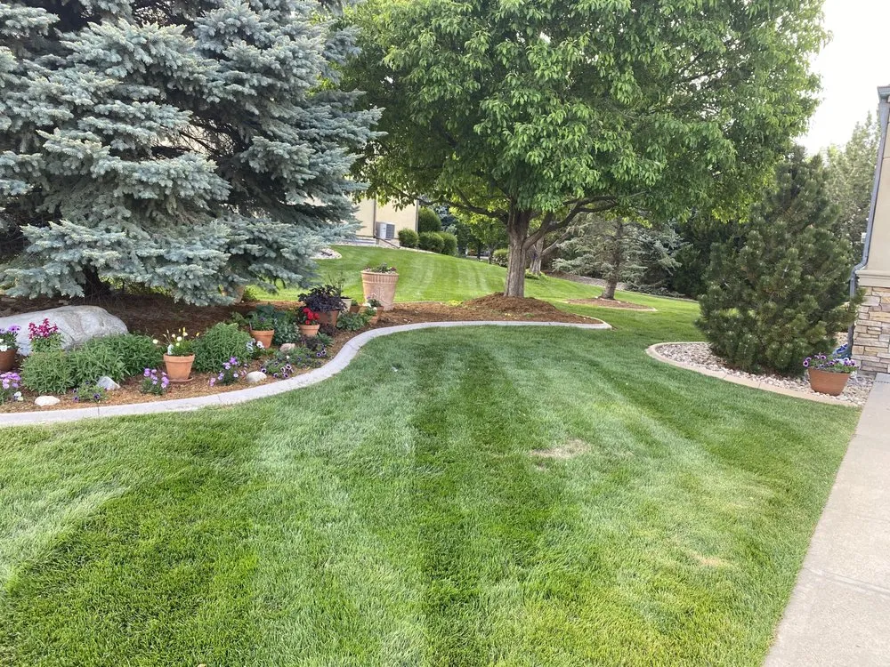 Professional lawn care service for outdoor upgrades in Masonville, CO by Jeffers Landscape Solutions