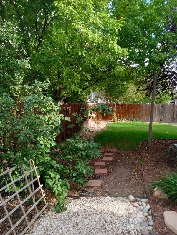 Reliable landscape installation in Masonville, CO by Jeffers Landscape Solutions