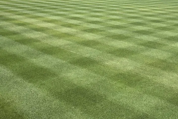 Trusted lawn care service in Jefferson City, MO - Jefferson City Lawn