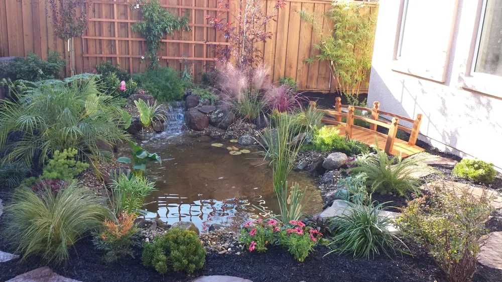 Top-rated yard cleanup service in Fremont, CA by Jefferson Landscape & Design