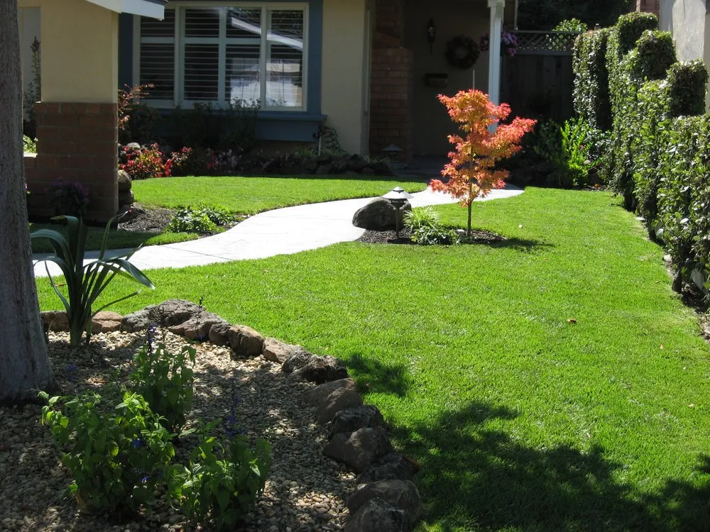 Custom outdoor landscaping for homes in Fremont, CA by Jefferson Landscape & Design