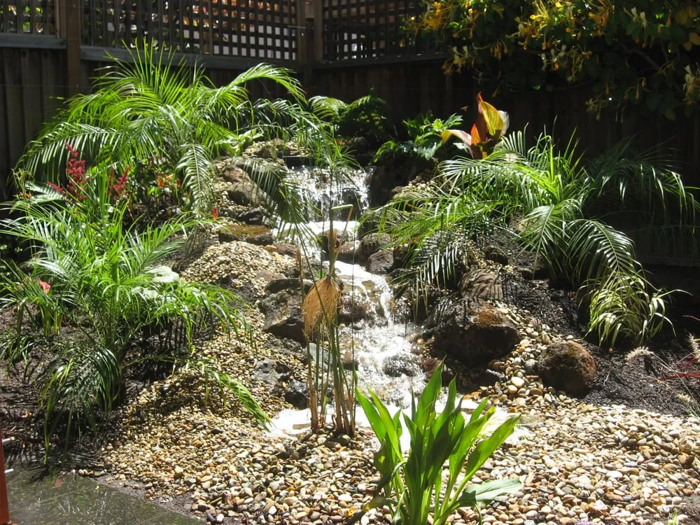 Affordable lawn mowing service in Fremont, CA by Jefferson Landscape & Design