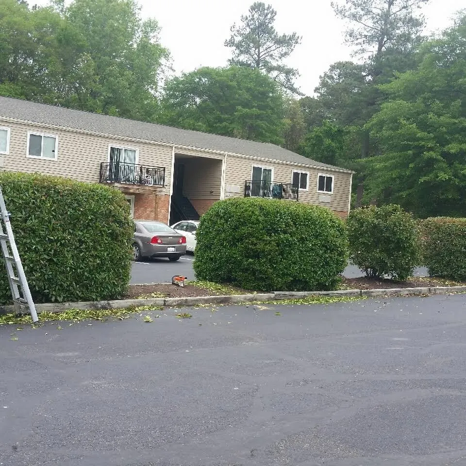 Professional landscaping services in Easton, MD - Jefferson Landscape