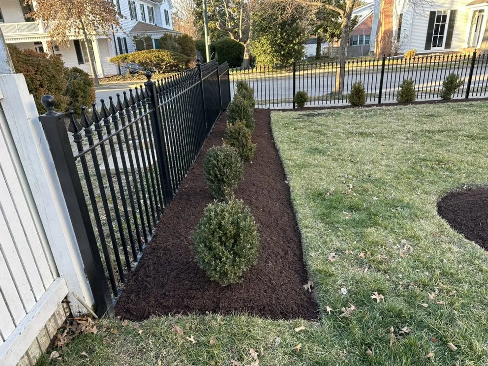 Expert yard cleanup service experts serving Easton, MD - Jefferson Landscape