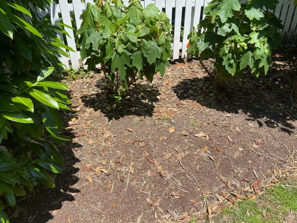 Top-rated landscape installation in Easton, MD by Jefferson Landscape