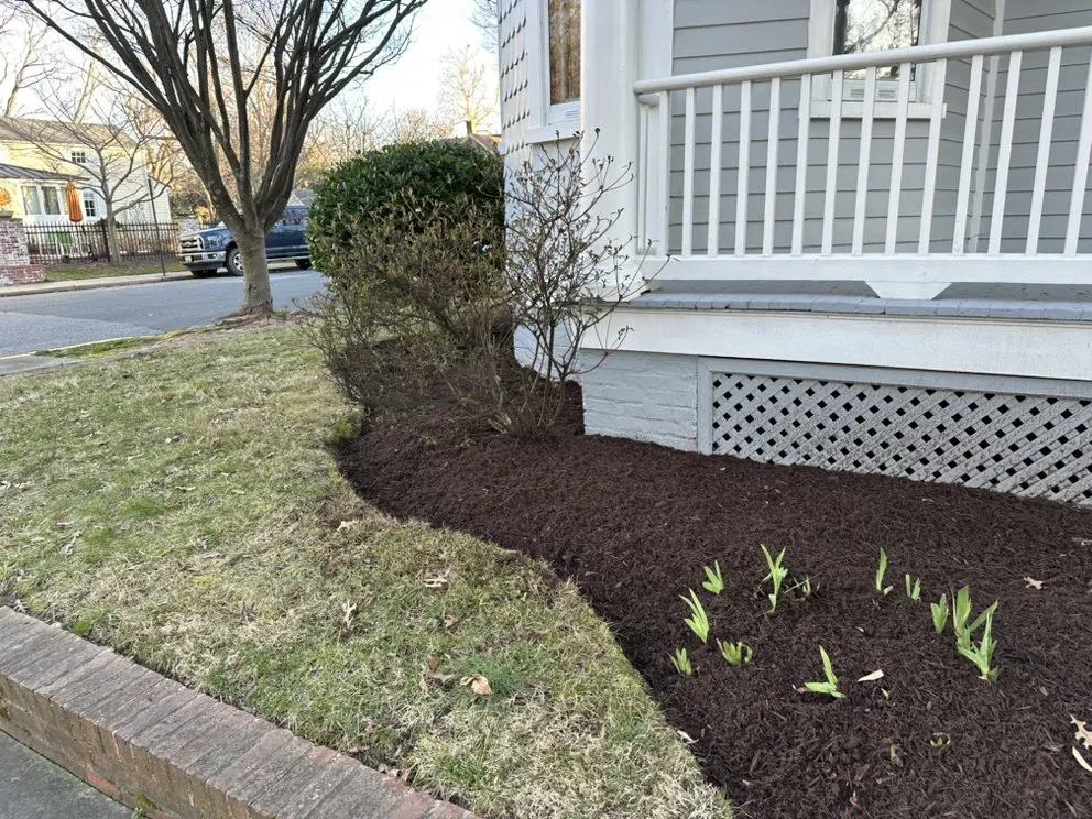 Affordable landscaping services experts serving Easton, MD - Jefferson Landscape