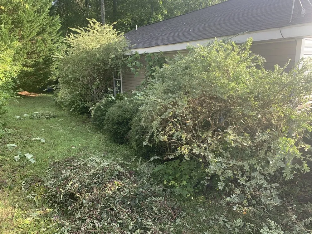 Professional landscaping services for residential properties across Greenville, SC - Jefferson Landscaping