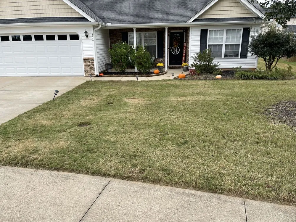 Expert yard cleanup service for residential properties in Greenville, SC by Jefferson Landscaping