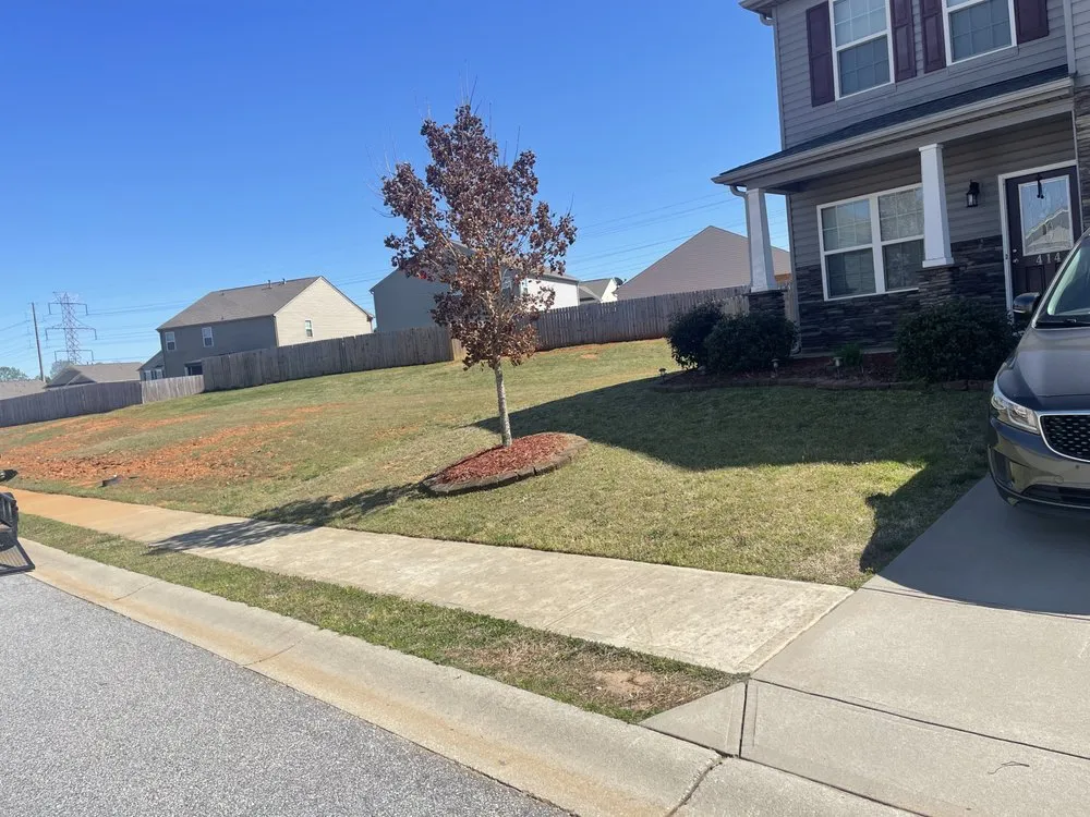 Expert lawn care service in Greenville, SC by Jefferson Landscaping