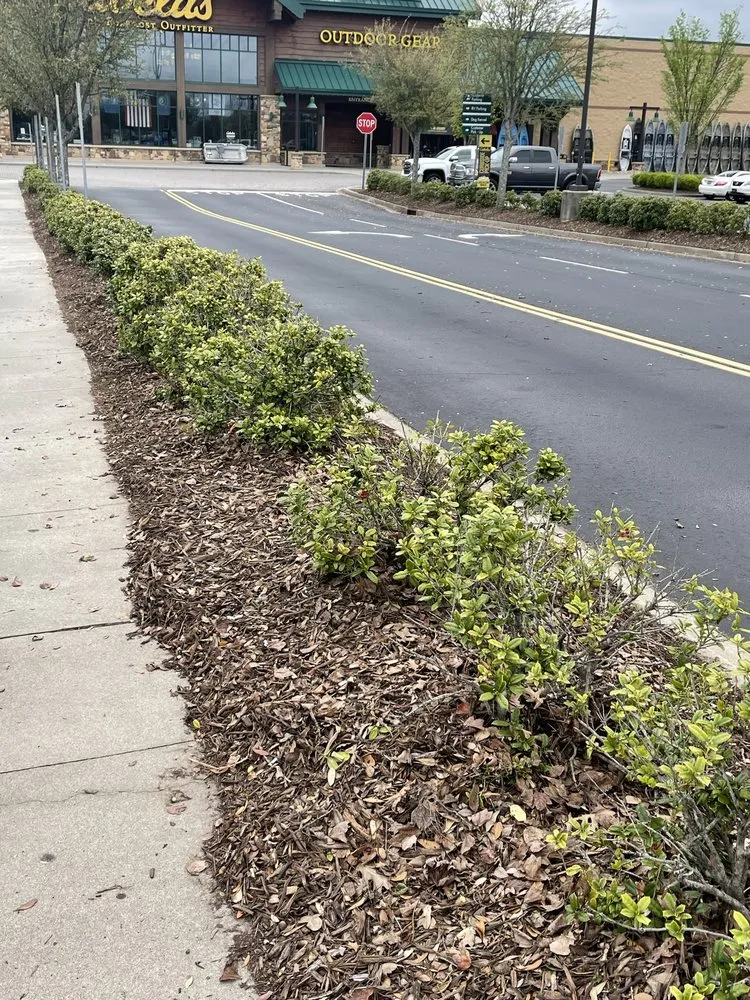 Top-rated landscaping services for year-round maintenance in Greenville, SC by Jefferson Landscaping